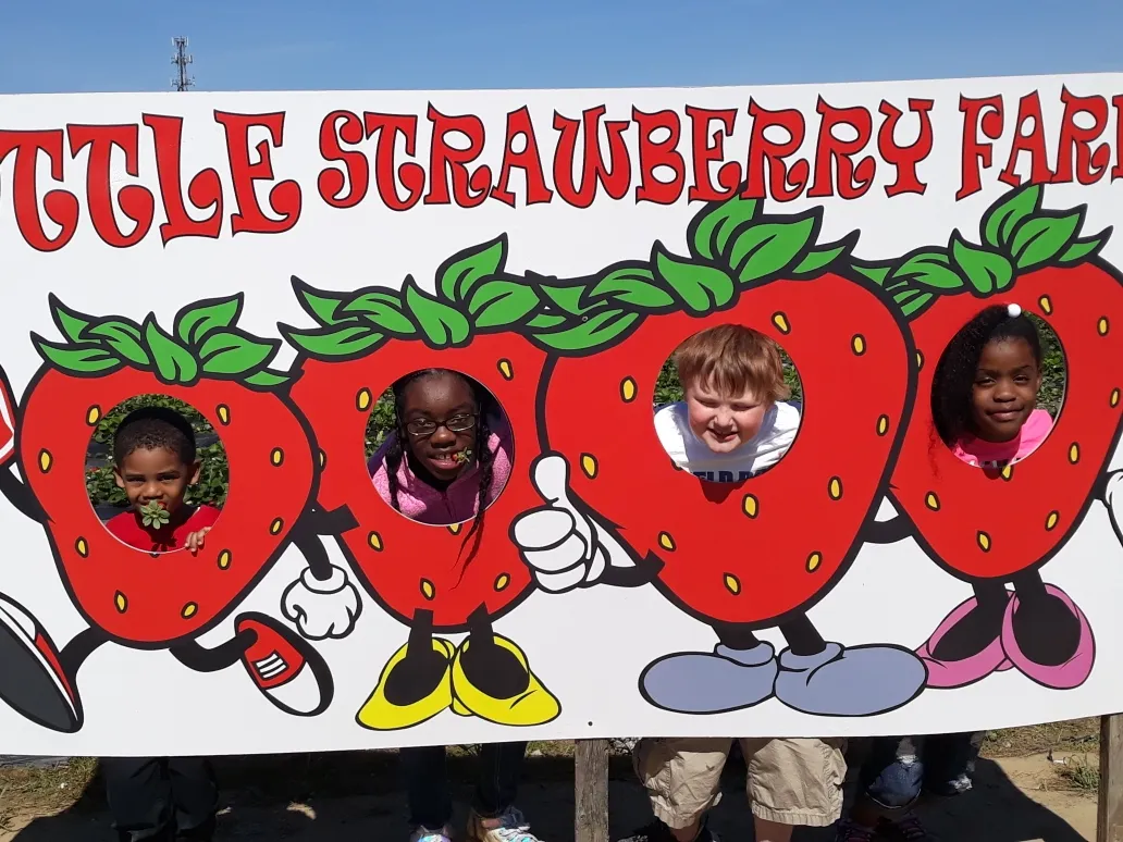 21Strawberries 2
